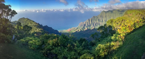 Kalalau Lookout to Na Pali Coast, Kauai, Hawaii, USA — Stock Photo, Image