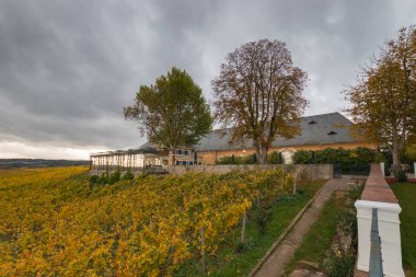 Almanya, Geisenheim yakınlarındaki Schloss Johannisberg 'de Schlossschaenke