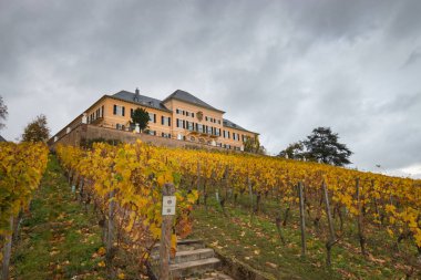 Schloss Johannisberg 'in sonbaharda düşük açılı görüntüsü