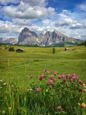Alpe di Siusi - Seiser Alm ve Sassolungo - Langkofel dağ grubu mavi gökyüzünün önünde bulutlu. Yaz boyunca kayak merkezinde, Dolomitler, Trentino Alto Adige, Güney Tyrol, İtalya