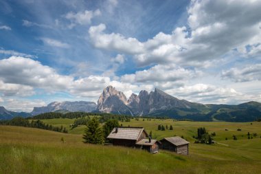 Alpe di Siusi - Seiser Alm ve Sassolungo - Langkofel dağ grubu mavi gökyüzünün önünde bulutlu. Yaz boyunca kayak merkezinde ahşap dağ eviyle yeşil çimen tepelerinin panoramik manzarası, Dolomitler, Trentino Alto Adige, Güney Tyrol, İtalya