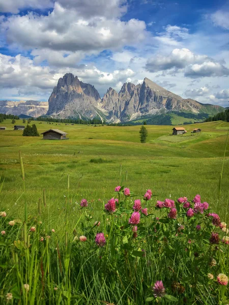 Alpe Siusi Seiser Alm Con Sassolungo Grupo Montaña Langkofel Frente — Foto de Stock