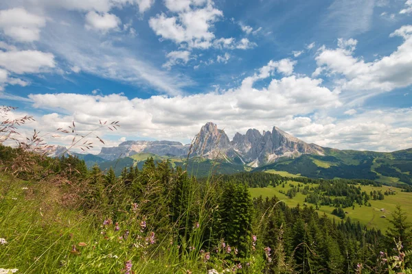 Alpe Siusi Seiser Alm Con Sassolungo Grupo Montaña Langkofel Frente — Foto de Stock