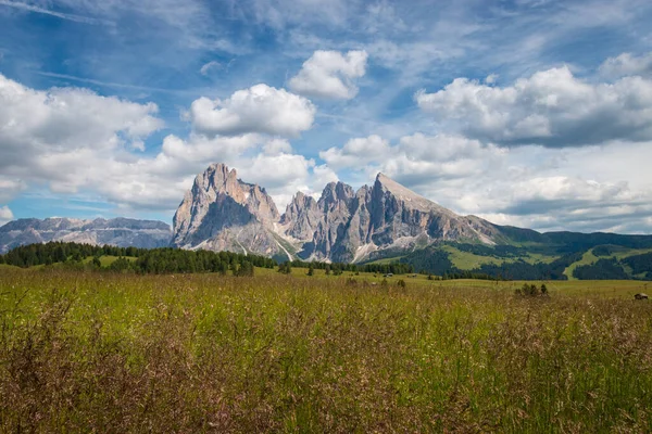 Alpe Siusi Seiser Alm Con Sassolungo Grupo Montaña Langkofel Frente — Foto de Stock