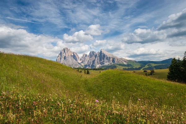 Alpe Siusi Alpe Siusi Con Sassolungo Gruppo Montuoso Langkofel Fronte — Foto Stock