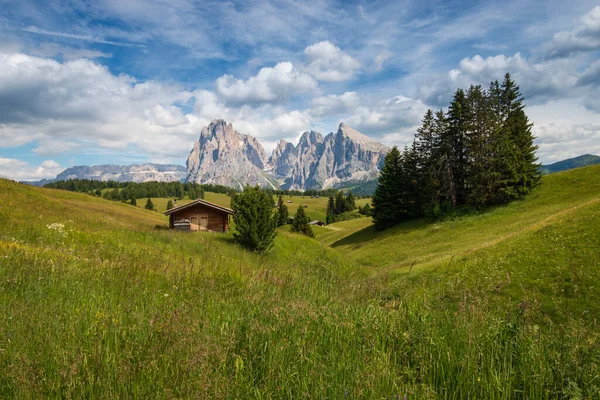 Alpe di Siusi - Seiser Alm ve Sassolungo - Langkofel dağ grubu mavi gökyüzünün önünde bulutlu. Yaz boyunca kayak merkezinde ahşap dağ evi olan yeşil çimen tepeleri, Dolomitler, Trentino Alto Adige, Güney Tyrol, İtalya