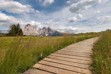 Alpe di Siusi - Seiser Alm ve Sassolungo - Langkofel dağ grubu mavi gökyüzünün önünde bulutlu. Yaz çiçekleri ve tahta patikalar yaz boyunca kayak merkezinde, Dolomitler, Trentino Alto Adige, Güney Tyrol, İtalya.