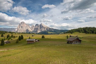 Alpe di Siusi - Seiser Alm ve Sassolungo - Langkofel dağ grubu mavi gökyüzünün önünde bulutlu. Yaz boyunca kayak merkezinde ahşap dağ eviyle yeşil çimen tepelerinin panoramik manzarası, Dolomitler, Trentino Alto Adige, Güney Tyrol, İtalya