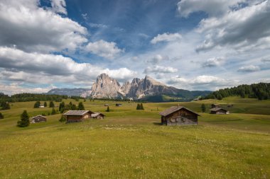 Alpe di Siusi - Seiser Alm ve Sassolungo - Langkofel dağ grubu mavi gökyüzünün önünde bulutlu. Yaz boyunca kayak merkezinde ahşap dağ eviyle yeşil çimen tepelerinin panoramik manzarası, Dolomitler, Trentino Alto Adige, Güney Tyrol, İtalya