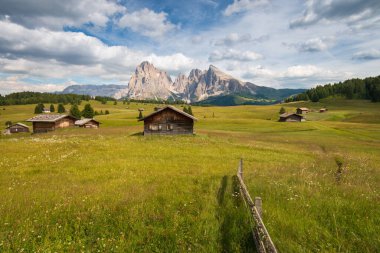 Alpe di Siusi - Seiser Alm ve Sassolungo - Langkofel dağ grubu mavi gökyüzünün önünde bulutlu. Yaz boyunca kayak merkezinde ahşap dağ eviyle yeşil çimen tepelerinin panoramik manzarası, Dolomitler, Trentino Alto Adige, Güney Tyrol, İtalya