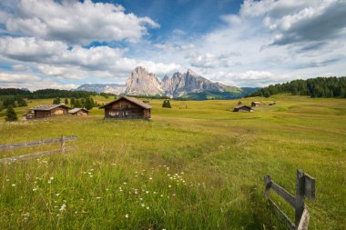 Alpe di Siusi - Seiser Alm ve Sassolungo - Langkofel dağ grubu mavi gökyüzünün önünde bulutlu. Yaz çiçekleri ve tahta bardaklar yaz boyunca kayak merkezinde, Dolomitler, Trentino Alto Adige, Güney Tyrol, İtalya