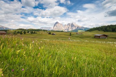 Alpe di Siusi - Seiser Alm ve Sassolungo - Langkofel dağ grubu mavi gökyüzünün önünde bulutlu. Kayak merkezindeki çayırlarda koşan kız Dolomitler, Trentino Alto Adige, Güney Tyrol, İtalya.