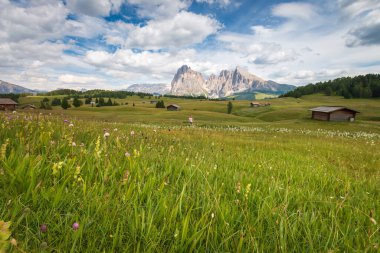 Alpe di Siusi - Seiser Alm ve Sassolungo - Langkofel dağ grubu mavi gökyüzünün önünde bulutlu. Kayak merkezindeki çayırlarda koşan kız Dolomitler, Trentino Alto Adige, Güney Tyrol, İtalya.