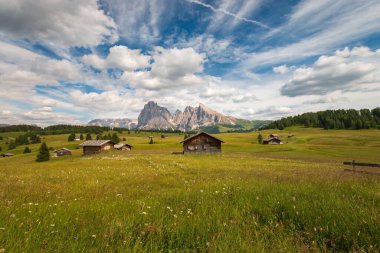 Alpe di Siusi - Seiser Alm ve Sassolungo - Langkofel dağ grubu mavi gökyüzünün önünde bulutlu. Yaz çiçekleri ve tahta bardaklar yaz boyunca kayak merkezinde, Dolomitler, Trentino Alto Adige, Güney Tyrol, İtalya