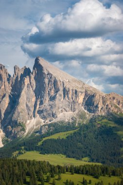 Sasso Piatto Plattkofel yazın Alpe di Siusi - Seiser Alm, Dolomitler, Trentino Alto Adige, Güney Tyrol, İtalya.