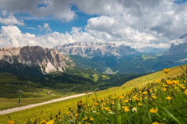 Seceda Dağı, Dolomitler, Trentino Alto Adige, Güney Tyrol, İtalya 'dan görülen önplanda sarı düğün çiçekleri olan Sella grubu dağlarının manzarası