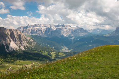 Seceda Dağı, Dolomitler, Trentino Alto Adige, Güney Tyrol, İtalya 'dan önplanda karahindiba ile Sella grubu dağlarının manzarası