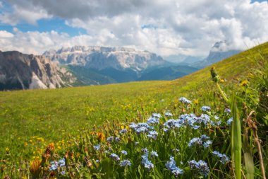 Seceda Dağı, Dolomitler, Trentino Alto Adige, Güney Tyrol, İtalya 'dan görünen yaz çiçekleriyle karışık Sella grubu dağlarının manzarası