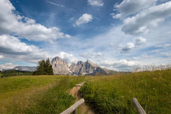 Alpe Siusi Seiser Alm Con Sassolungo Grupo Montaña Langkofel Frente — Foto de Stock