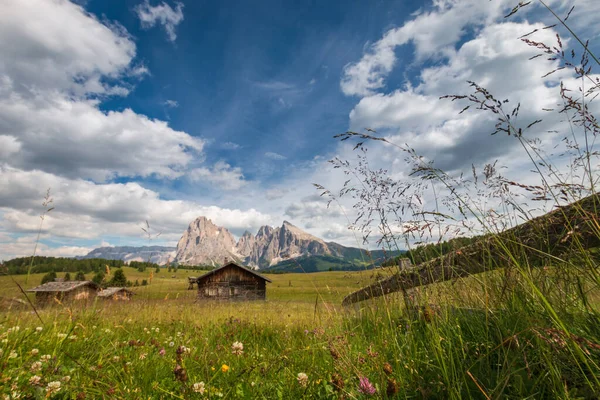 Alpe Siusi SassolungoのSeiser Alm 青い空の雲の前にあるLangkofel山のグループ スキーリゾート ドロマイト トレンティーノ アルト アディジェ — ストック写真