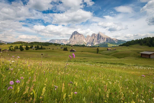 Alpe Siusi Seiser Alm Con Sassolungo Grupo Montaña Langkofel Frente — Foto de Stock