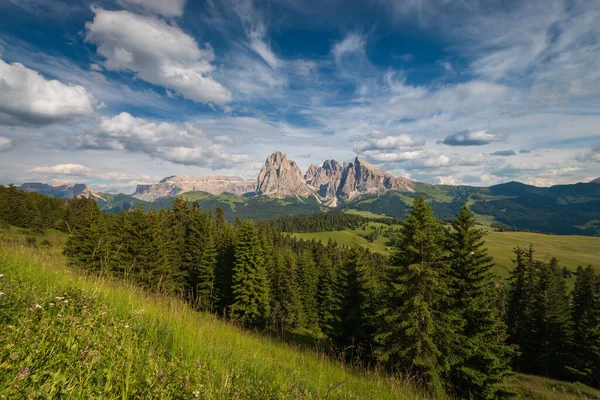 Alpe Siusi SassolungoのSeiser Alm 青い空の雲の前にあるLangkofel山のグループ 夏の間の緑の芝生の丘のパノラマビューでスキーリゾート ドロマイト トレンティーノ アルト アディジェ — ストック写真