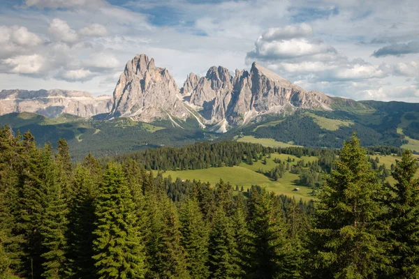 意大利南蒂罗尔Dolomites Trentino Alto Adige 夏季滑雪胜地 在蓝天前 带着云彩的具有标志性的Sassolungo Langkofel山脉 Alpe Siusi — 图库照片