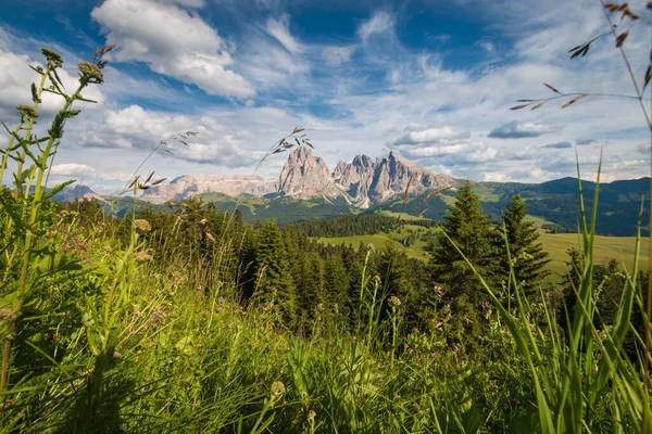 Alpe Siusi SassolungoのSeiser Alm 青い空の雲の前にあるLangkofel山のグループ スキーリゾート ドロマイト トレンティーノ アルト アディジェ — ストック写真