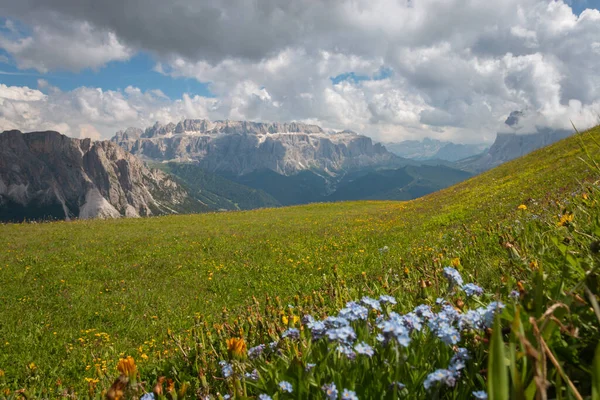 Seceda Dağı, Dolomitler, Trentino Alto Adige, Güney Tyrol, İtalya 'dan önplanda yaz çiçekleriyle Sella grubu dağlarının manzarası