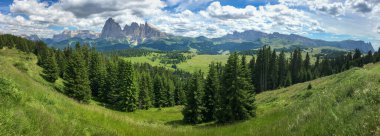 Alpe di Siusi 'nin panoramik görüntüsü - Sassolungo ile Seiser Alm - Langkofel dağ grubu, Sella grubu ve Schlern dağı mavi gökyüzü, bulutlar, Dolomitler, Trentino Alto Adige, Güney Tyrol, İtalya