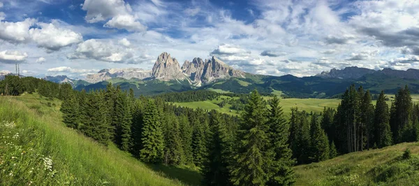 Panoramiczny Widok Alpe Siusi Seiser Alm Sassolungo Grupa Górska Langkofel — Zdjęcie stockowe