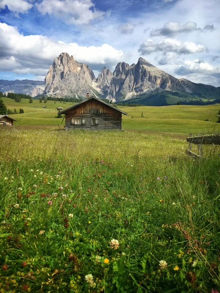 Alpe di Siusi - Seiser Alm Sassolungo 'nun önünde ahşap dağ eviyle Langkofel dağ grubu, Dolomitler, Trentino Alto Adige, Güney Tyrol, İtalya