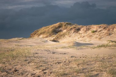 Güneşin batışında, dramatik gökyüzüne karşı ılık ışıkta Kuzey Denizi sahillerinde güzel kum tepeleri.