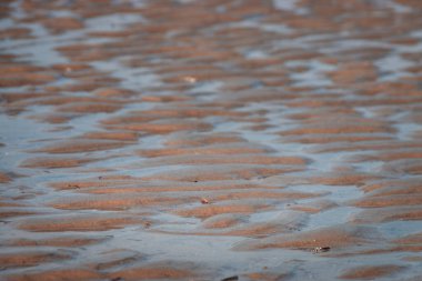 Islak dalgaları kumsaldaki kumda suyla kapatın.