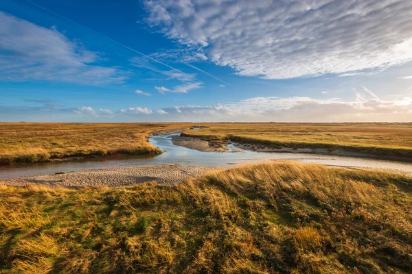 Panoramic view of salt marshes (salt meadows) at north sea coast in Sankt Peter-Ording at sunset against sky