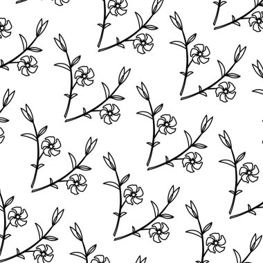 İki çizgi deseni için siyah ve beyaz deniz salyangozu vektör, vektör için iki çizgi deseni lineart dövme tarzı beyaz zemin üzerine siyah ve beyaz deniz salyangozu