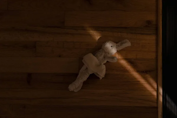 Pelüş Oyuncak Tavşan Karanlıkta Yerde Yatıyor — Stok fotoğraf