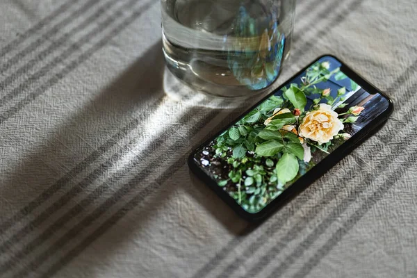 Smartphone Displaying Photograph Yellow Roses Sits Table Next Glass Water — Stock Photo, Image