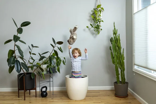 Young Child Joyfully Tosses Stuffed Toy Sloth Air While Leaping — Stock Photo, Image