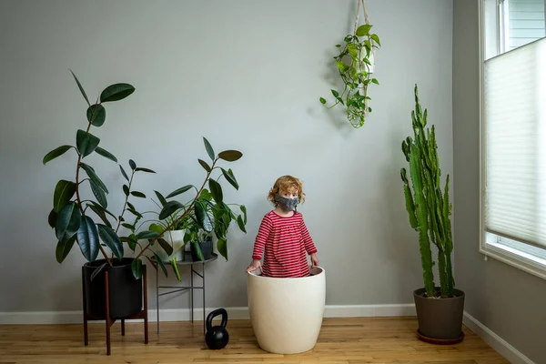 Young Child Wearing Face Mask Stands Large Plant Pot Amoung — Stock Photo, Image