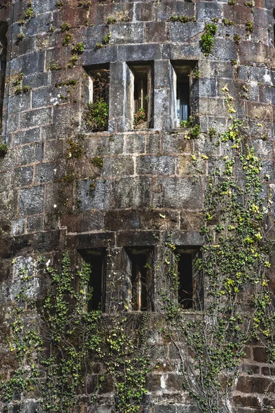 Detail Butron Castle Gatica Basque Country Spain — стокове фото