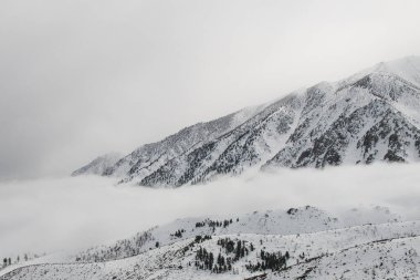 Kuzey Kaliforniya 'daki Doğu Sierra Dağları' nın zengin bir sıradağları.
