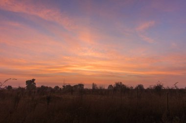 İlk ışığın yumuşak renkleri.