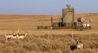 Wyoming 'de antilopla gaz üretimi