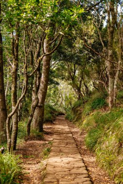 Portekiz, Madeira 'da Yürüyüş Patikaları