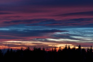 Ormanda inanılmaz renkli gün batımı.