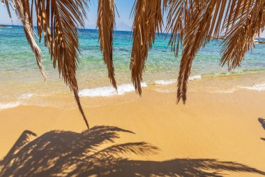 Yunan yarımadası Sithonia 'daki güzel Tigania plajı, Chalkidiki yarımadasının bir parçası..