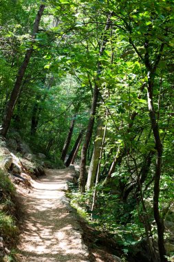 Pakistan Ulusal Parkı 'nda boş bir patikadayım.