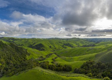 Heavy Spri 'den sonra Kaliforniya' da Green Rolling Hills Idyllic Scene