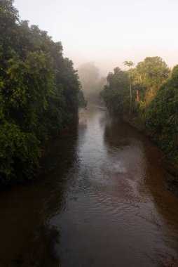 Rio de Janeiro, Brezilya kırsalının sisli havasıyla yağmur ormanları nehrine güzel bir manzara